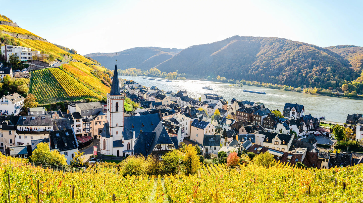 欧洲环线 · 荷兰比利时德国法国7日游