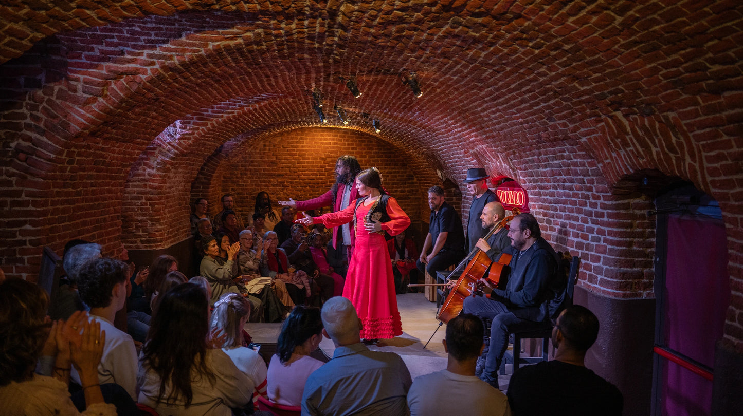 弗拉门戈舞蹈表演（含饮品）