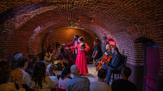 弗拉门戈舞蹈表演（含饮品）