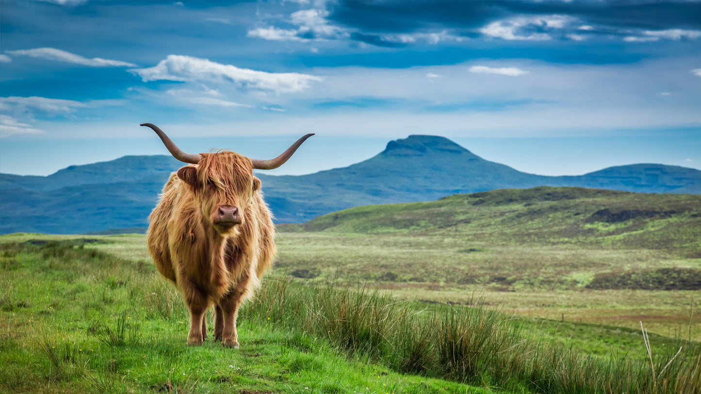 英国天空岛+苏格兰+英格兰5天4晚