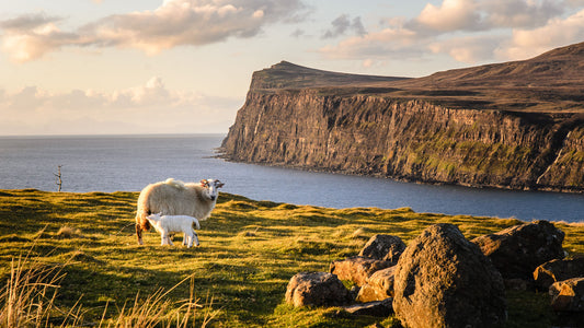 英国天空岛+苏格兰+英格兰5天4晚